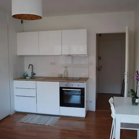 Appartamento Petite France, De Charme Vue Sur L'ill Strasburgo